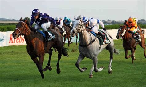 pick 4 horse bet.